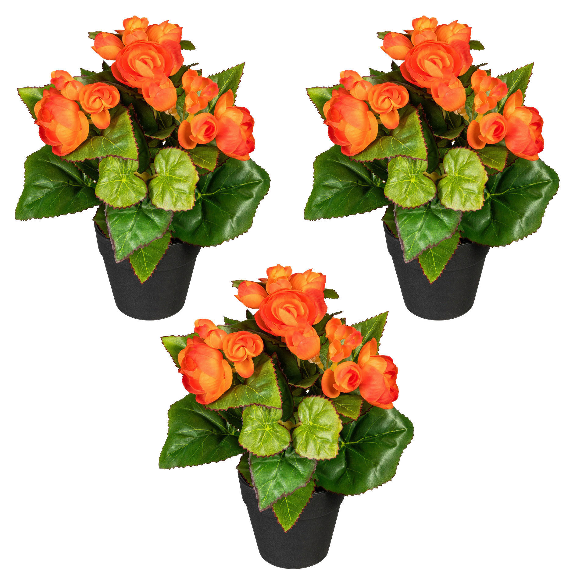 KUNSTPFLANZE Begonien 24 cm  - Schwarz/Orange, Design, Kunststoff (24cm)