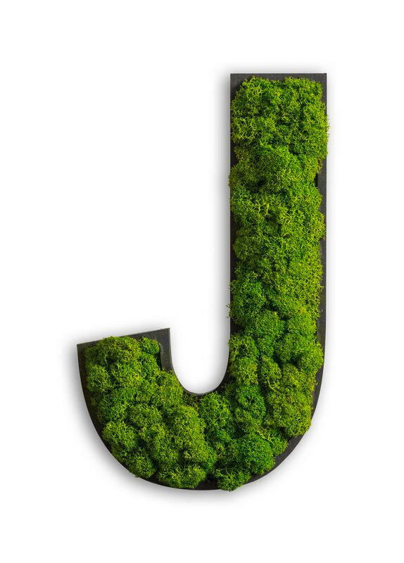 StyleGREEN MECHOVÝ OBRAZ