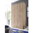DREHTÜRENSCHRANK in Sonoma Eiche - Alufarben/Sonoma Eiche, KONVENTIONELL, Holzwerkstoff/Kunststoff (120/196/54cm) - Carryhome