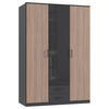 KLEIDERSCHRANK 135/199/58 cm 3-türig Graphitfarben, Braun, Dunkelgrau  - Dunkelgrau/Schwarz, KONVENTIONELL, Glas/Holzwerkstoff (135/199/58cm) - Boxxx