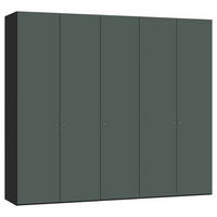 DREHTÜRENSCHRANK 253/220/59 cm 5-türig Grau, Grün, Schwarz  - Silberfarben/Schwarz, Design, Glas/Holzwerkstoff (253/220/59cm) - Jutzler