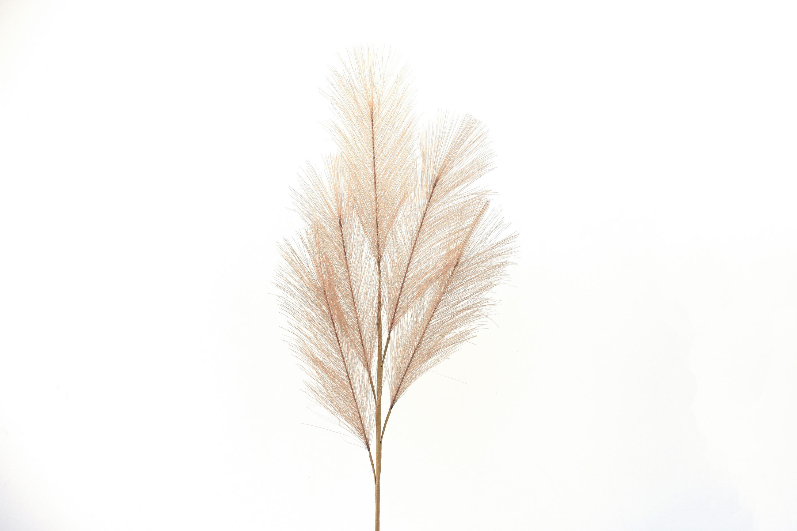 KUNSTPFLANZE Pampasgras  - Naturfarben, Basics (68cm)