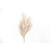 KUNSTPFLANZE Pampasgras  - Naturfarben, Basics (68cm)
