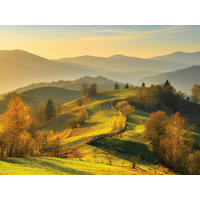 OBRAZ NA PLÁTNĚ, krajina a příroda, 30/40 cm  - vícebarevná, Natur, dřevo/papír (30/40cm)