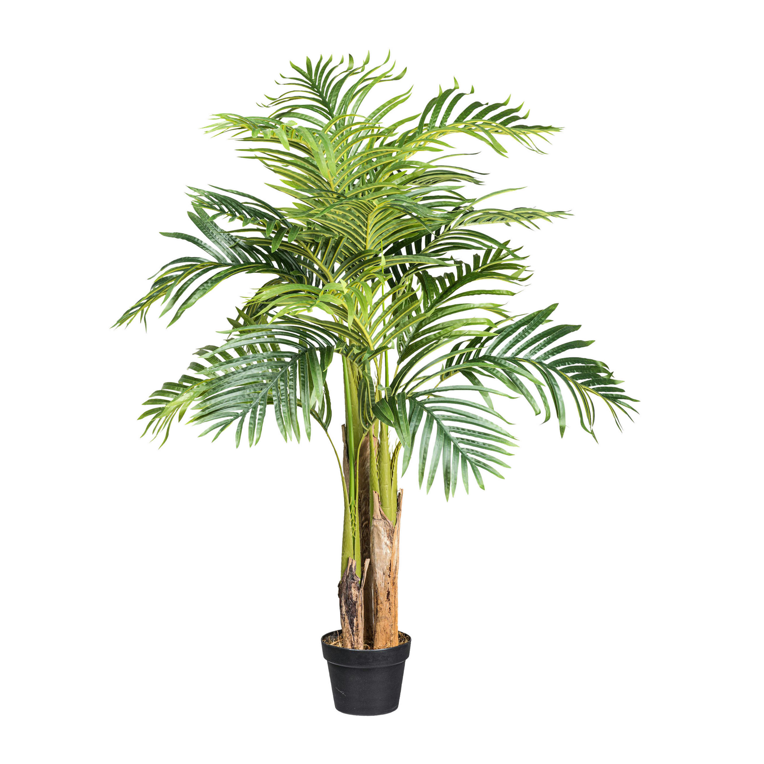 KUNSTPFLANZE Palme 130 cm  - Schwarz/Braun, Design, Kunststoff (130cm) - P & B
