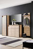 SCHUHSCHRANK 130/106/38 cm  - Eichefarben/Schwarz, KONVENTIONELL, Holzwerkstoff (130/106/38cm) - Voleo