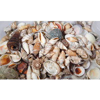 NISIP DECORATIV - culoare natur, Basics, materiale naturale (6,5/16/6,5cm) - Ambia Home