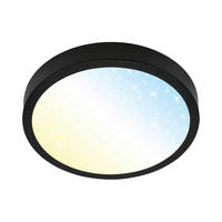 STROPNA LED-SVETILKA  Runa 18 W/2000 lm/2700-6500 K/230 V/ - črna, Basics, kovina/umetna masa (28/4cm)