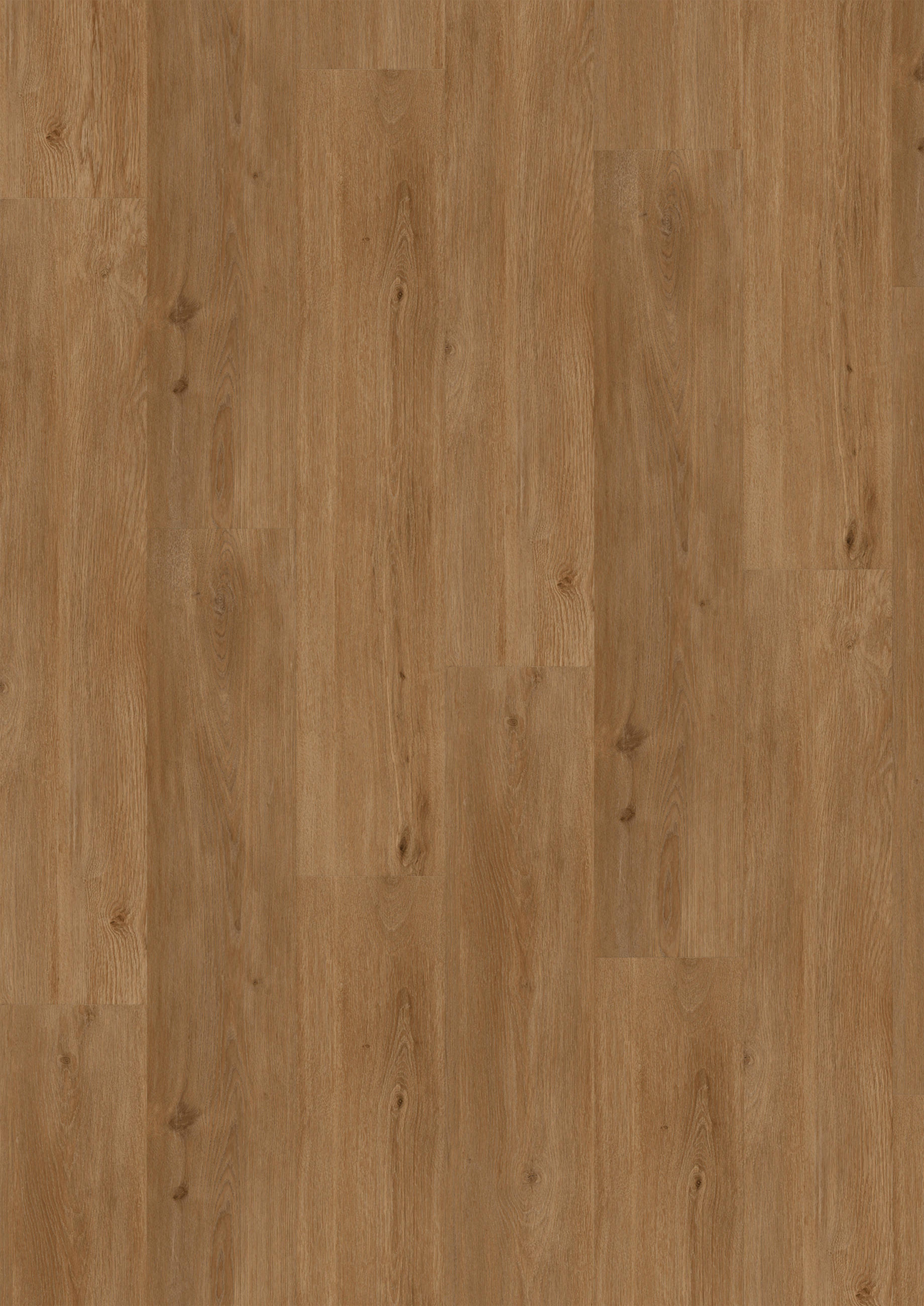 VINYLBODEN SPC 4,5mm Breitdiele inkl. Trittschall  per  m² - Eichefarben, Basics, Kunststoff (22,5/122/0,45cm)