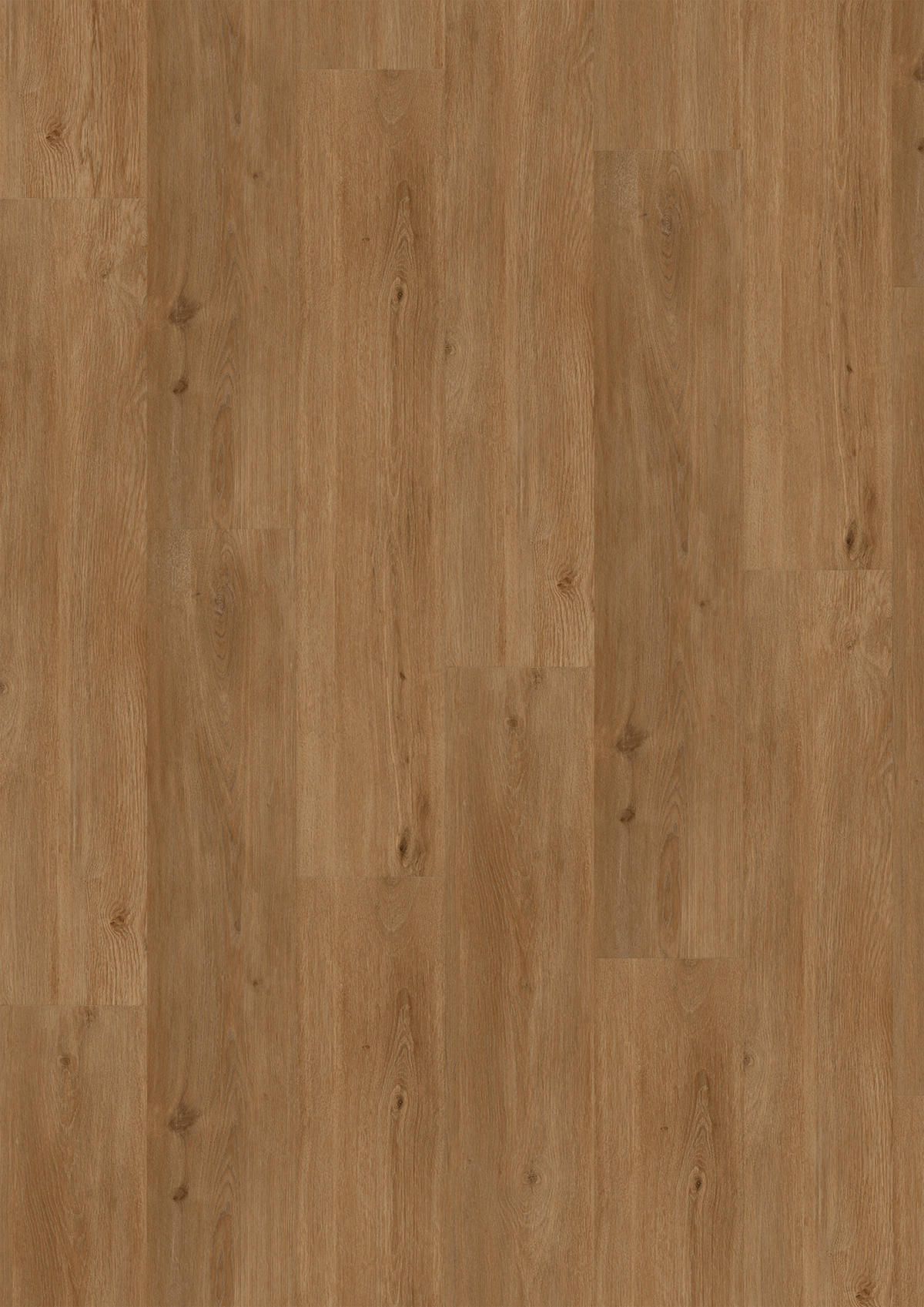 VINYLBODEN SPC 4,5mm Breitdiele inkl. Trittschall  per  m² - Eichefarben, Basics, Kunststoff (22,5/122/0,45cm)