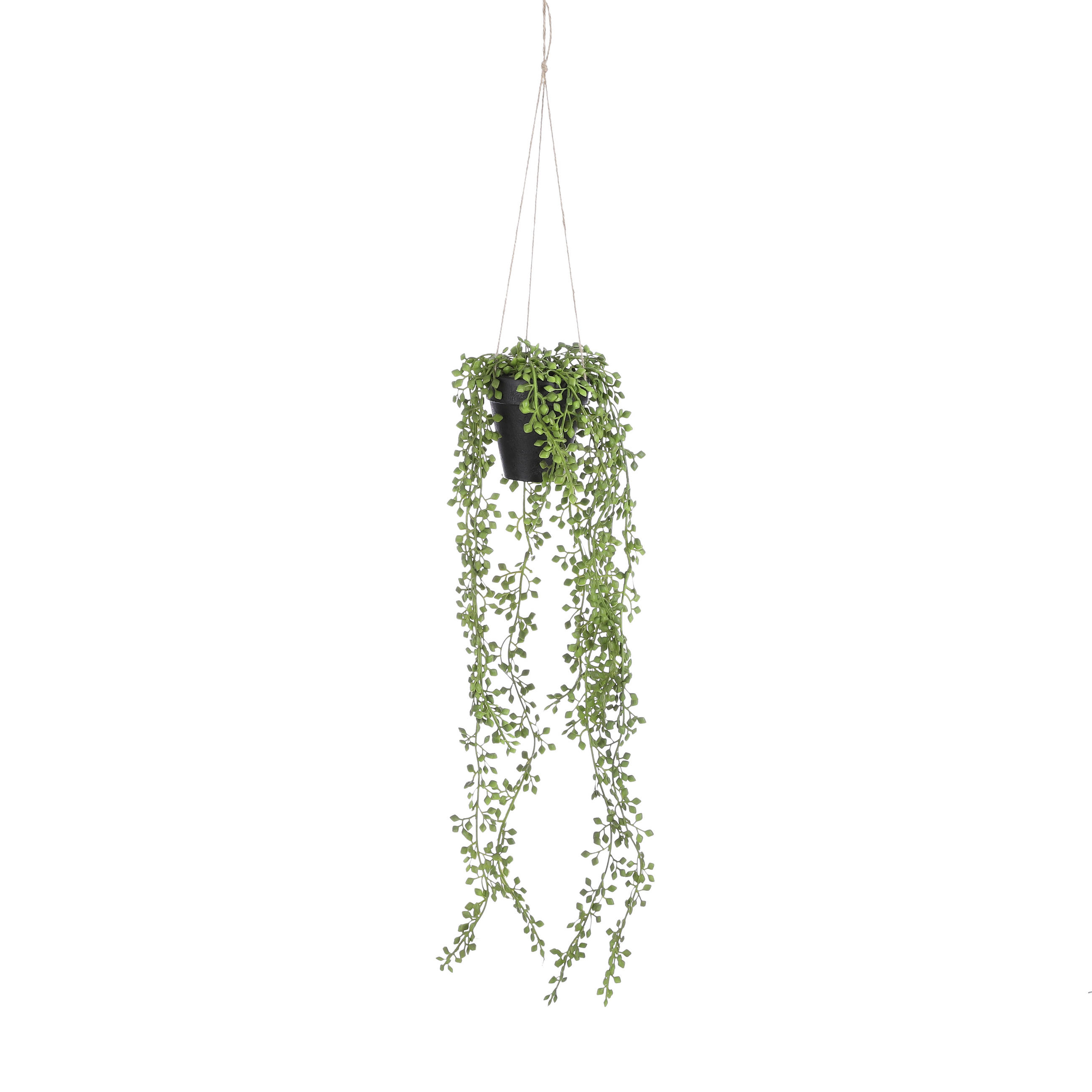 SUKULENTI - zelena/crna, Osnovno, plastika (9/68cm)