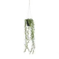 SUKULENTI - zelena/crna, Osnovno, plastika (9/68cm)
