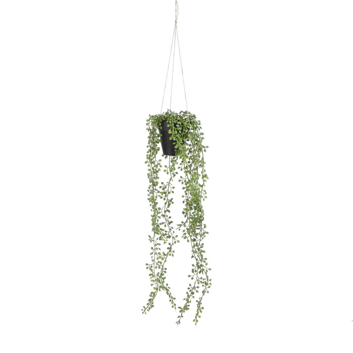 SUKULENTI - zelena/crna, Osnovno, plastika (9/68cm)