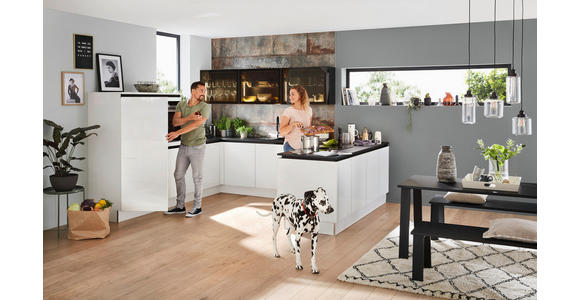 EINBAUKÜCHE - Weiß, Design, Glas/Holzwerkstoff - Dieter Knoll