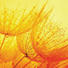 GLASBILD - Multicolor, Natur, Glas (20/20/1,40cm) GLASBILD - Multicolor, Natur, Glas (20/20/1,40cm)