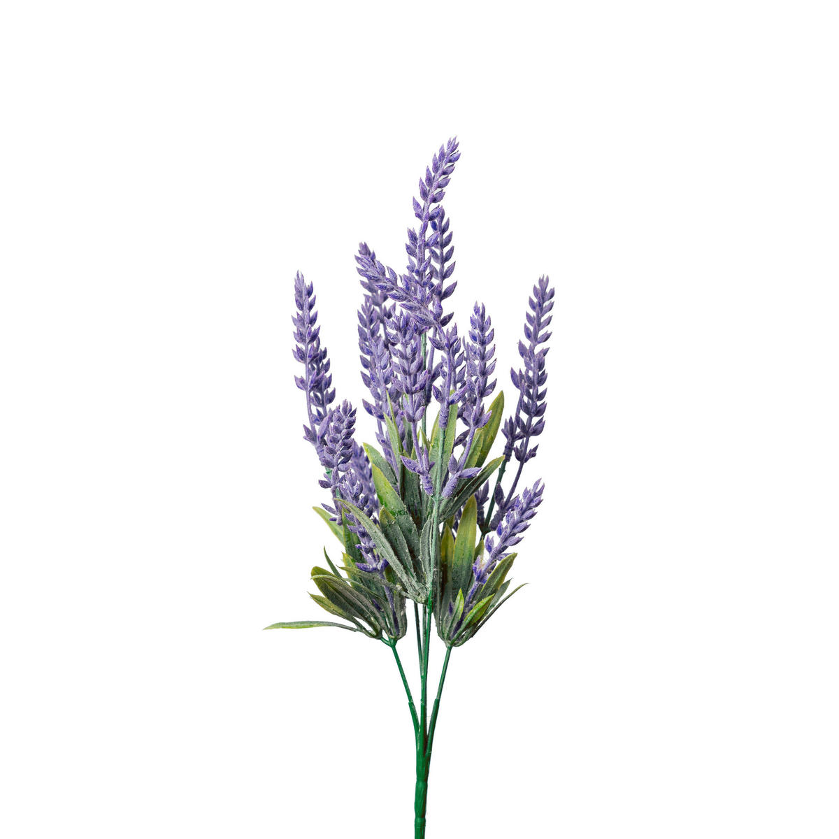 LAVENDELZWEIG Lavendel  - Lila/Grün, Basics, Kunststoff (36cm)