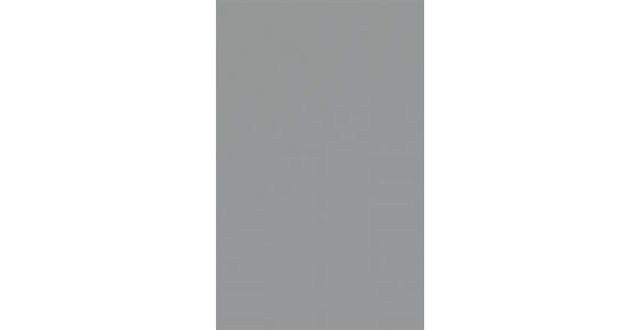 TÜR 45/66/1,6 cm   - Hellgrau, KONVENTIONELL, Holzwerkstoff (45/66/1,6cm) - Hom`in