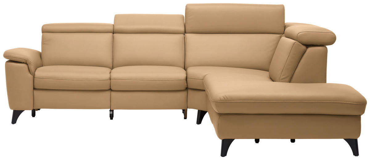 ECKSOFA in Echtleder Honig  - Schwarz/Honig, Design, Leder/Metall (285/239cm) - Cantus