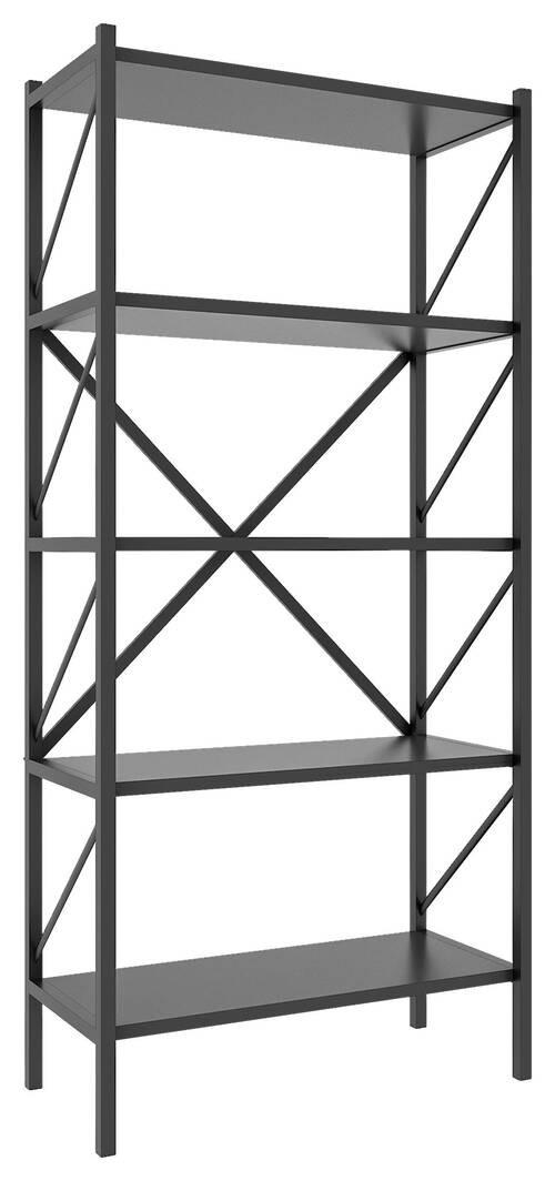 REGAL Anthrazit - Anthrazit, MODERN, Holzwerkstoff (66/160/34cm) - MID.YOU