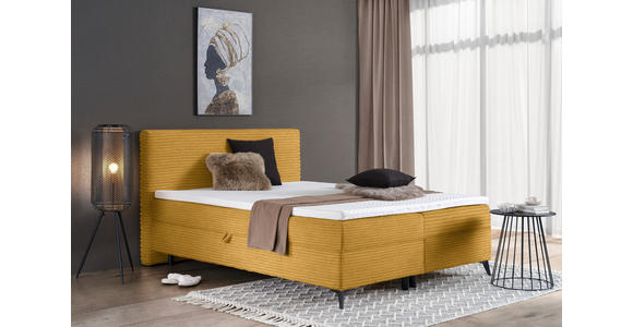 BOXBETT 160/200 cm in Senfgelb - Senfgelb/Schwarz, Design, Holz/Holzwerkstoff (160/200cm) - Xora