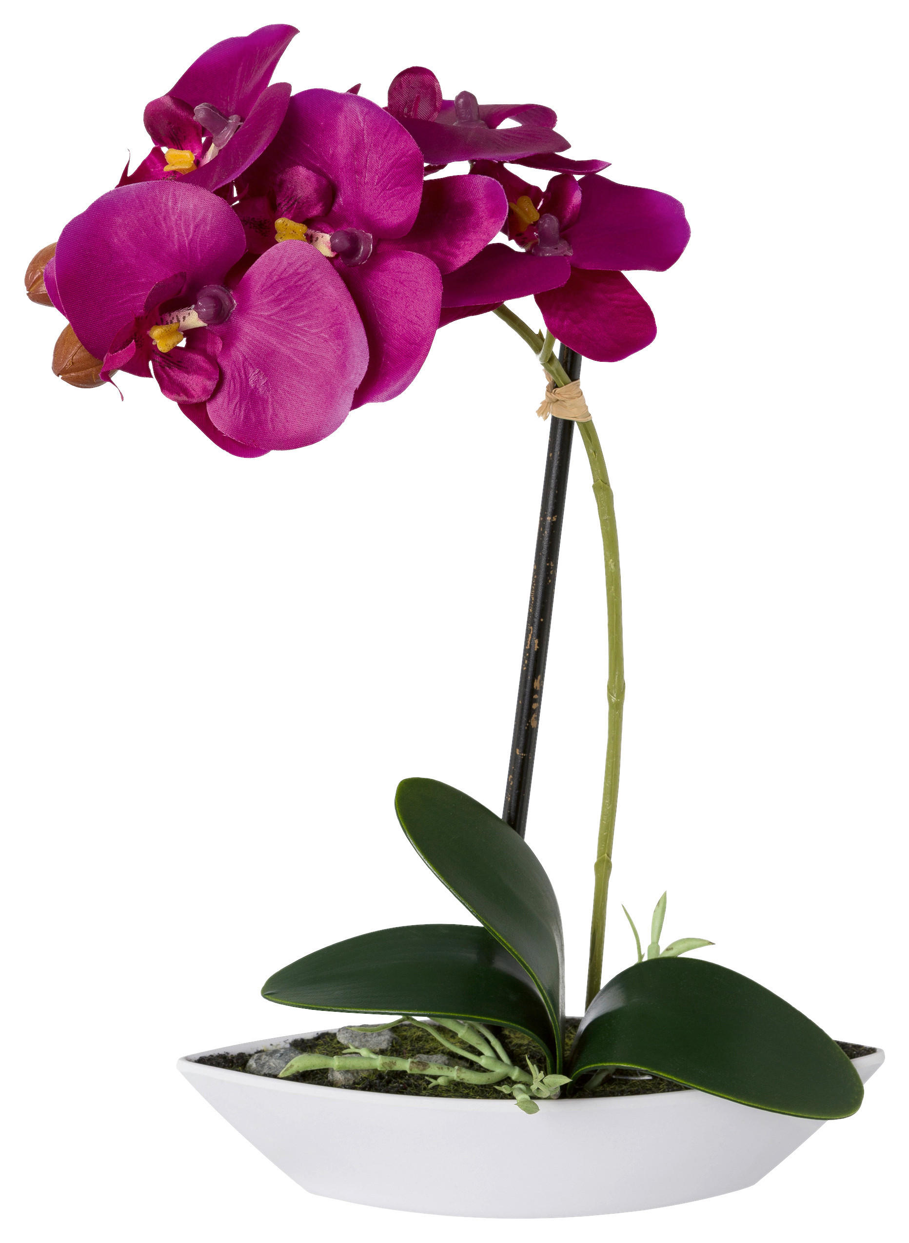 KUNSTPFLANZE Orchidee 30 cm  - Lila/Weiß, Design, Keramik/Kunststoff (30cm) - P & B