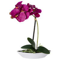 KUNSTPFLANZE Orchidee 30 cm  - Lila/Weiß, Design, Keramik/Kunststoff (30cm) - P & B