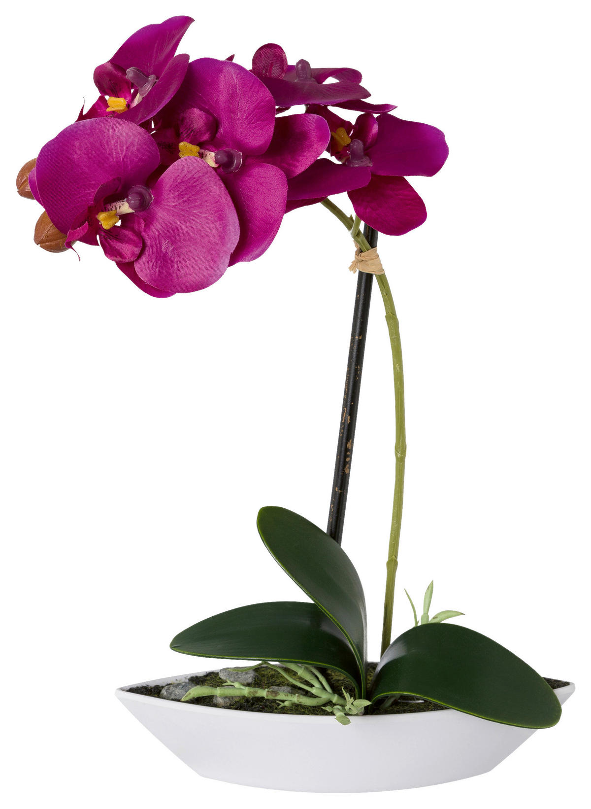 KUNSTPFLANZE Orchidee 30 cm  - Lila/Weiß, Design, Keramik/Kunststoff (30cm) - P & B