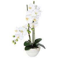 KUNSTPFLANZE Orchidee 50 cm  - Weiß/Grün, Design, Keramik/Kunststoff (50cm)