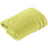 SEIFTUCH Calypso Feeling Grün 30/30 cm  - Grün, Basics, Textil (30/30cm) - Vossen