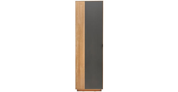 GARDEROBENSCHRANK 60,1/200/42 cm  - Eichefarben/Schwarz, Natur, Holz/Holzwerkstoff (60,1/200/42cm) - Linea Natura