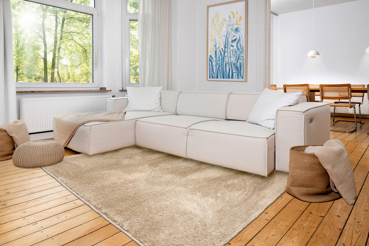 WEBTEPPICH 160/230 cm Paulie Beige rechteckig  - Beige, Basics, Textil (160/230cm) - Astra