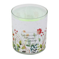 DUFTKERZE  - Limette, LIFESTYLE, Paraffin (8,0/9,2cm) - Steinhart