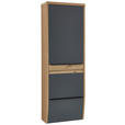 GARDEROBENSCHRANK  in 64/187/31 cm  - Eichefarben/Anthrazit, Design, Holzwerkstoff/Metall (64/187/31cm) - Dieter Knoll