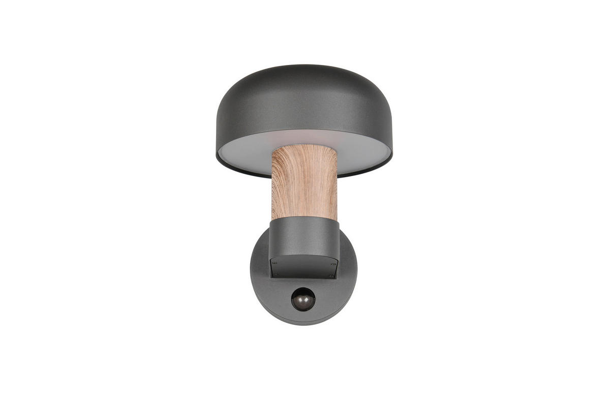 AUSSENWANDLEUCHTE - Anthrazit/Braun, Design, Metall (19/24,5/25cm) - Trio Leuchten