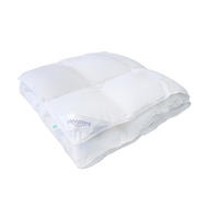 CELOROČNÍ PŘIKRÝVKA, 200/140 cm,  - Basics (200/140cm) - Sleeptex