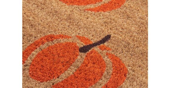 KOKOSMATTE 45/75 cm Mix Mats  - Hellbraun/Orange, Basics, Naturmaterialien/Kunststoff (45/75cm) - Esposa
