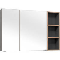 SPIEGELSCHRANK 105/70,3/17,3 cm  - Eichefarben/Grau, KONVENTIONELL, Glas/Holzwerkstoff (105/70,3/17,3cm) - Dieter Knoll