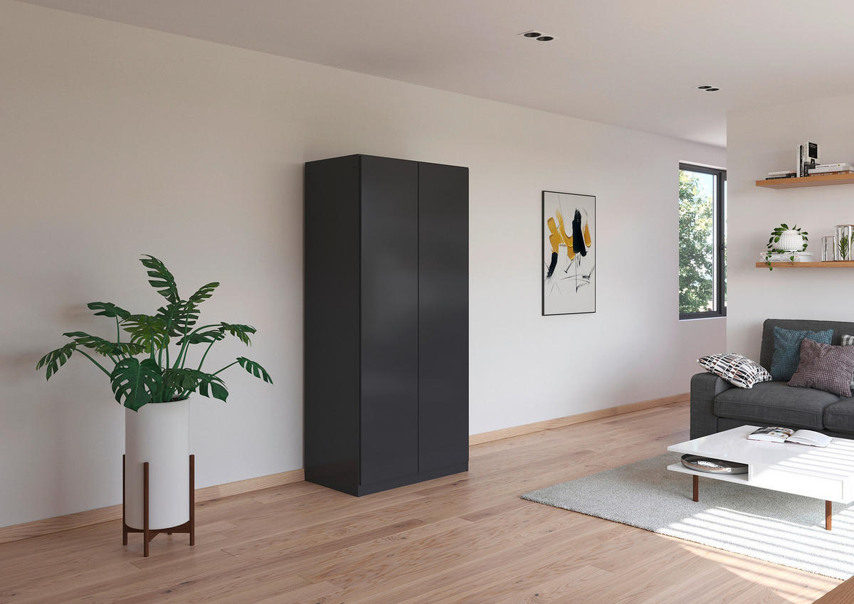 DREHTÜRENSCHRANK in  - Grau, Modern, Holzwerkstoff (91/197/54cm) - Rauch Möbel
