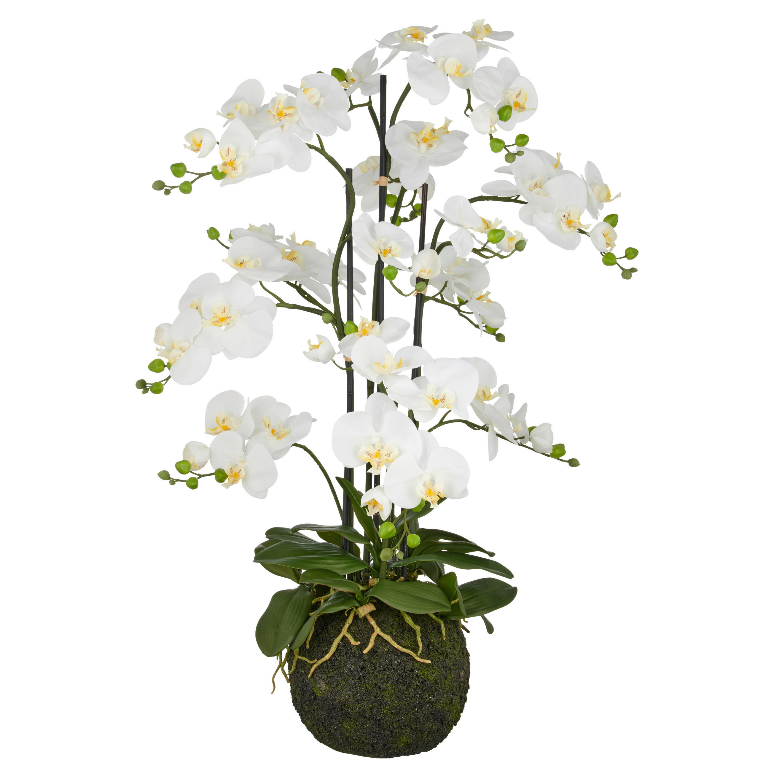 KUNSTPFLANZE Orchidee 120 cm  - Weiß/Grün, Basics, Kunststoff (120cm) - P & B
