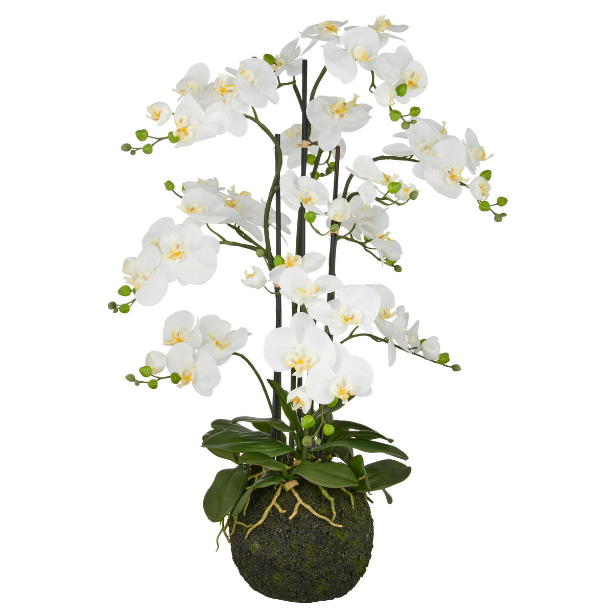 KUNSTPFLANZE Orchidee 120 cm  - Weiß/Grün, Basics, Kunststoff (120cm) - P & B