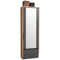 GARDEROBENSCHRANK  in 64/187/31 cm  - Eiche Bianco/Anthrazit, Design, Glas/Holzwerkstoff (64/187/31cm) - Dieter Knoll