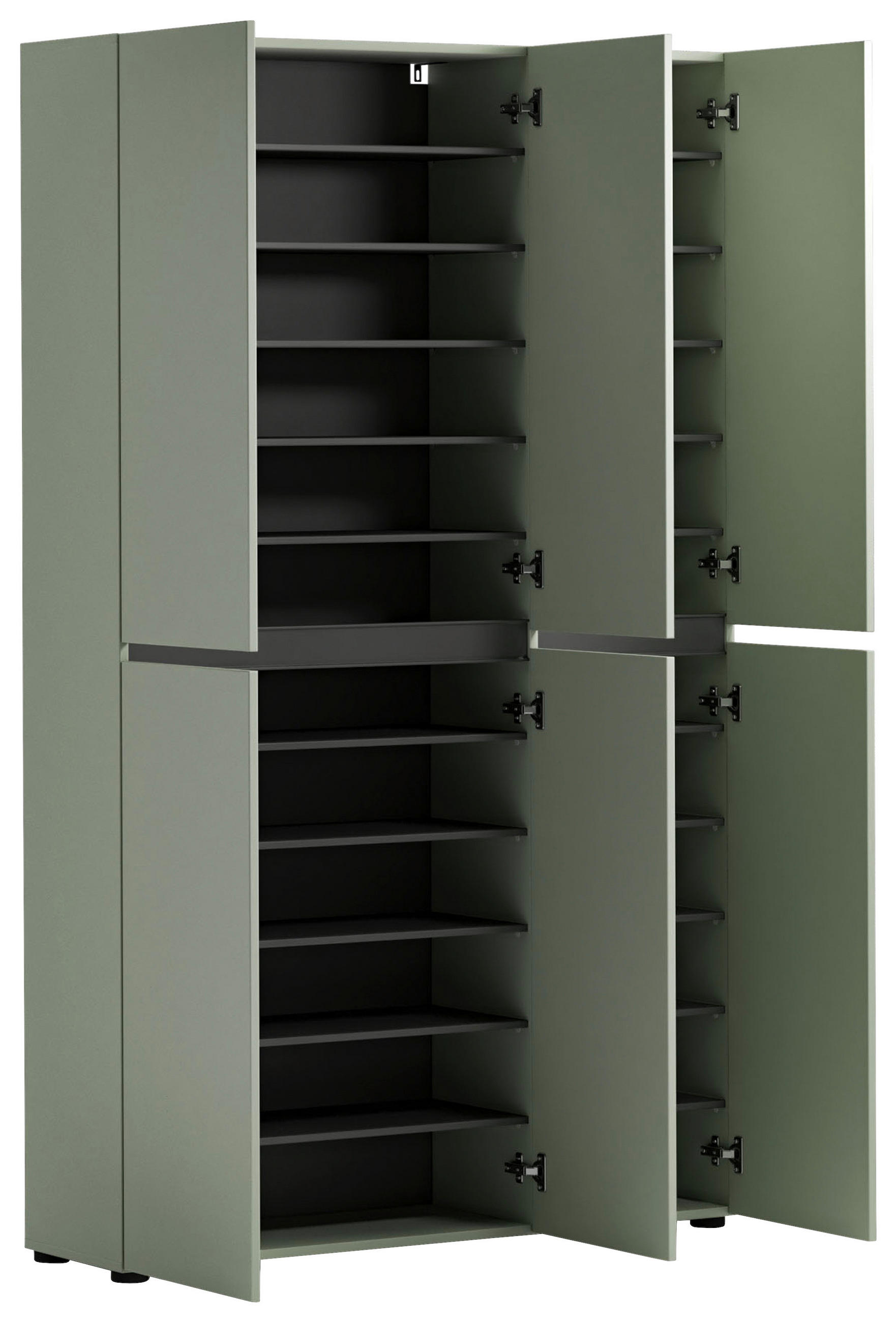 SCHUHSCHRANK Grün  - Schwarz/Grün, Design, Holzwerkstoff/Kunststoff (120/200/34cm) - home24