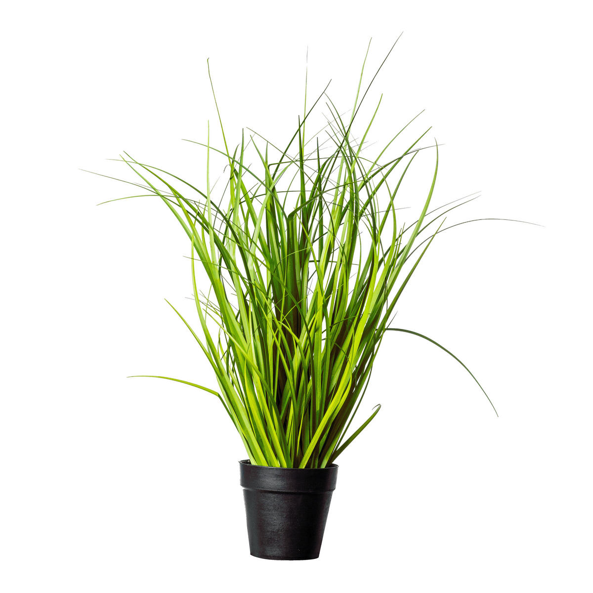 GRASBÜNDEL  - Schwarz/Grün, Basics, Kunststoff (48cm)