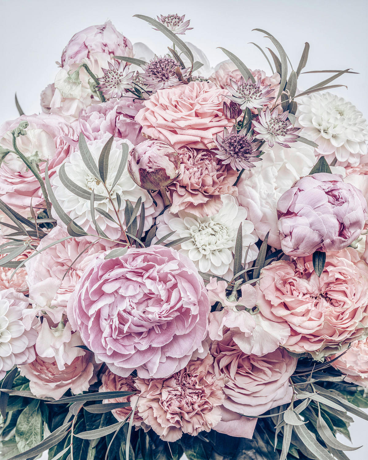 VLIESTAPETE  - Rot/Rosa, Basics (200/250cm) - Xora