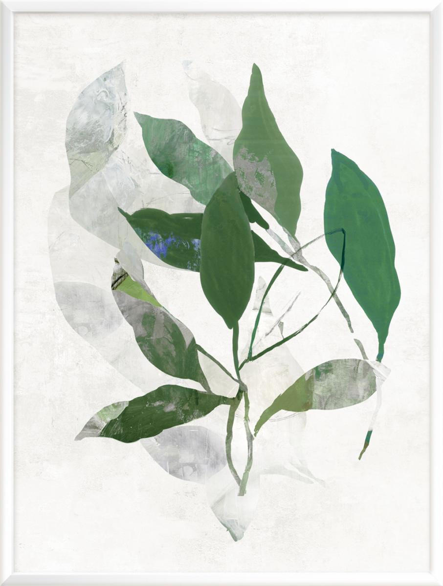 KUNSTDRUCK Stillleben, Blumen EMERALD BOTANICS II  - Grün, Basics, Papier (30/40cm) - Monee