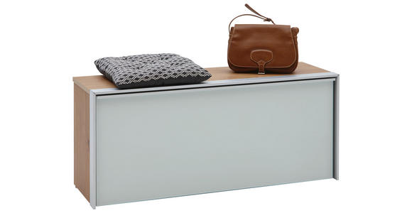 GARDEROBENBANK 102/44/34 cm - Eichefarben/Alufarben, Design, Glas/Holzwerkstoff (102/44/34cm) - Dieter Knoll
