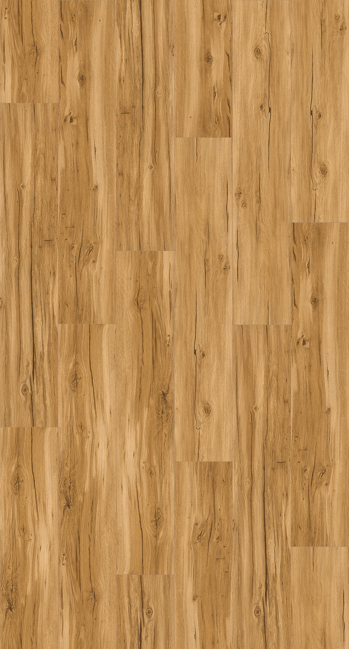 DESIGNBODEN BASIC 5.3 1743003  per  m² - Eichefarben/Gelb, Basics, Kunststoff (120,9/22,5/0,53cm) - Parador