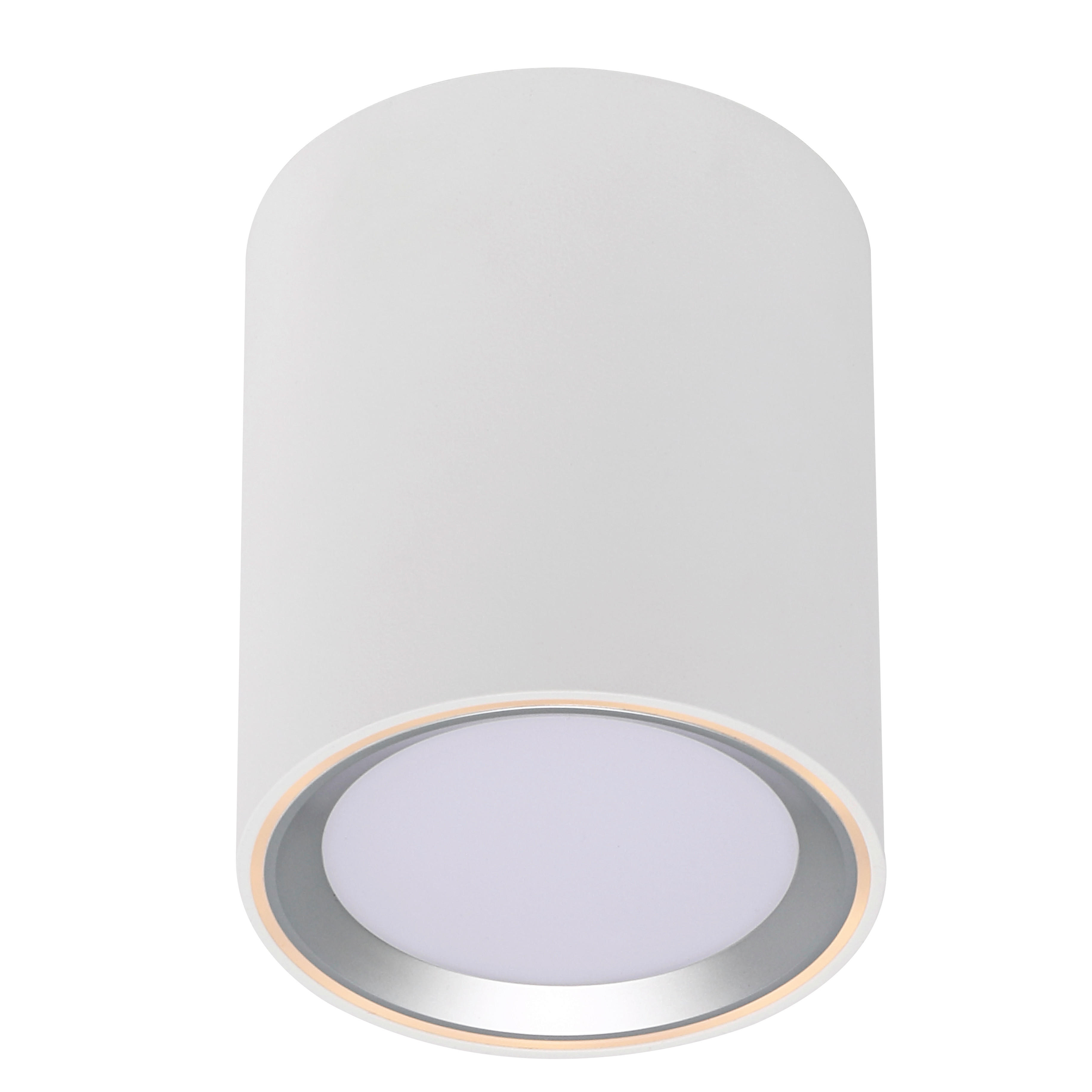 DECKENLEUCHTE Fallon  - Silberfarben/Weiß, Basics, Metall (10/12cm) - Nordlux