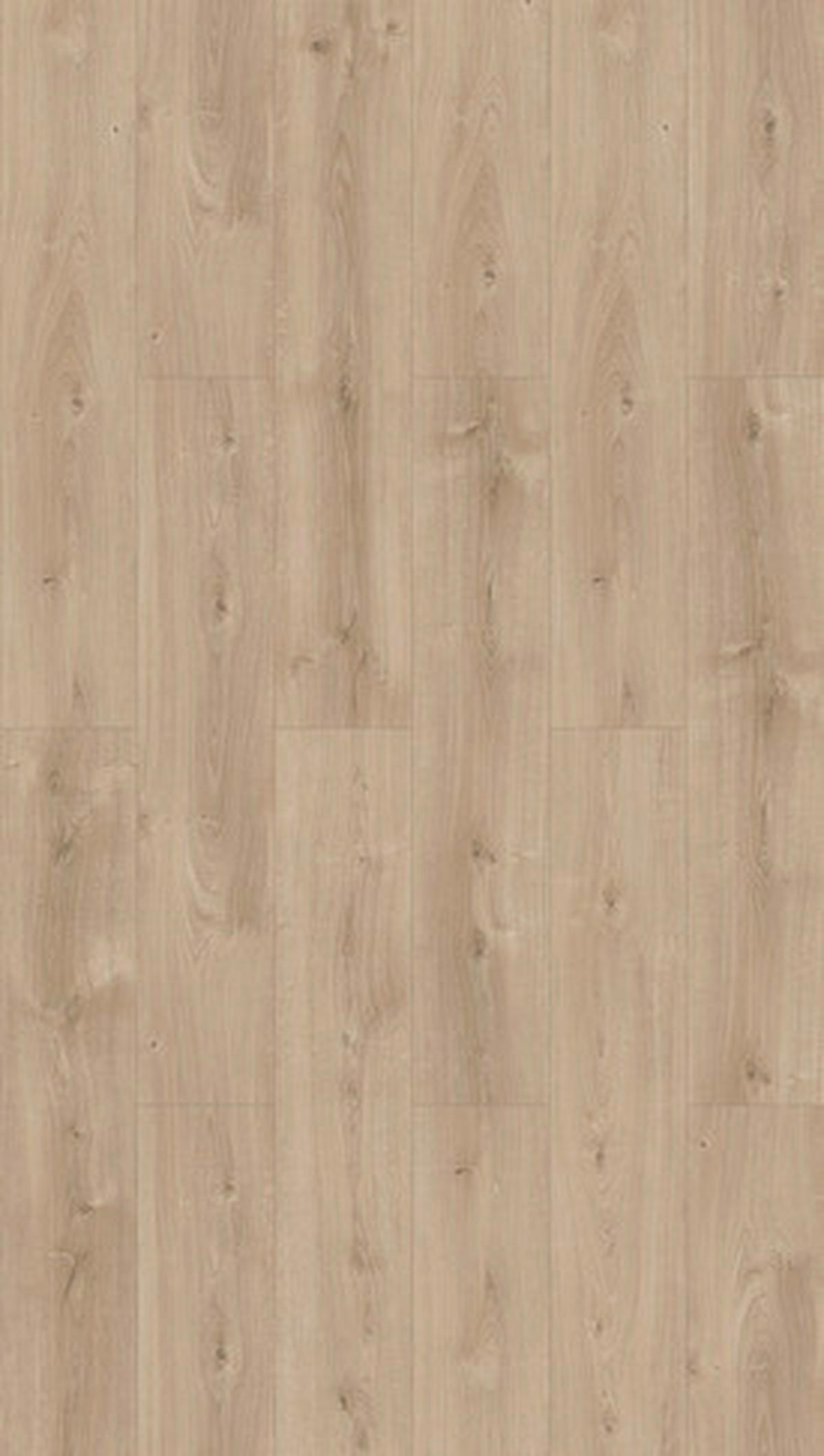 LAMINATBODEN Basic 600  per  m² - Hellbraun/Eichefarben, KONVENTIONELL, Holzwerkstoff (128,5/24,3/0,8cm) - Parador