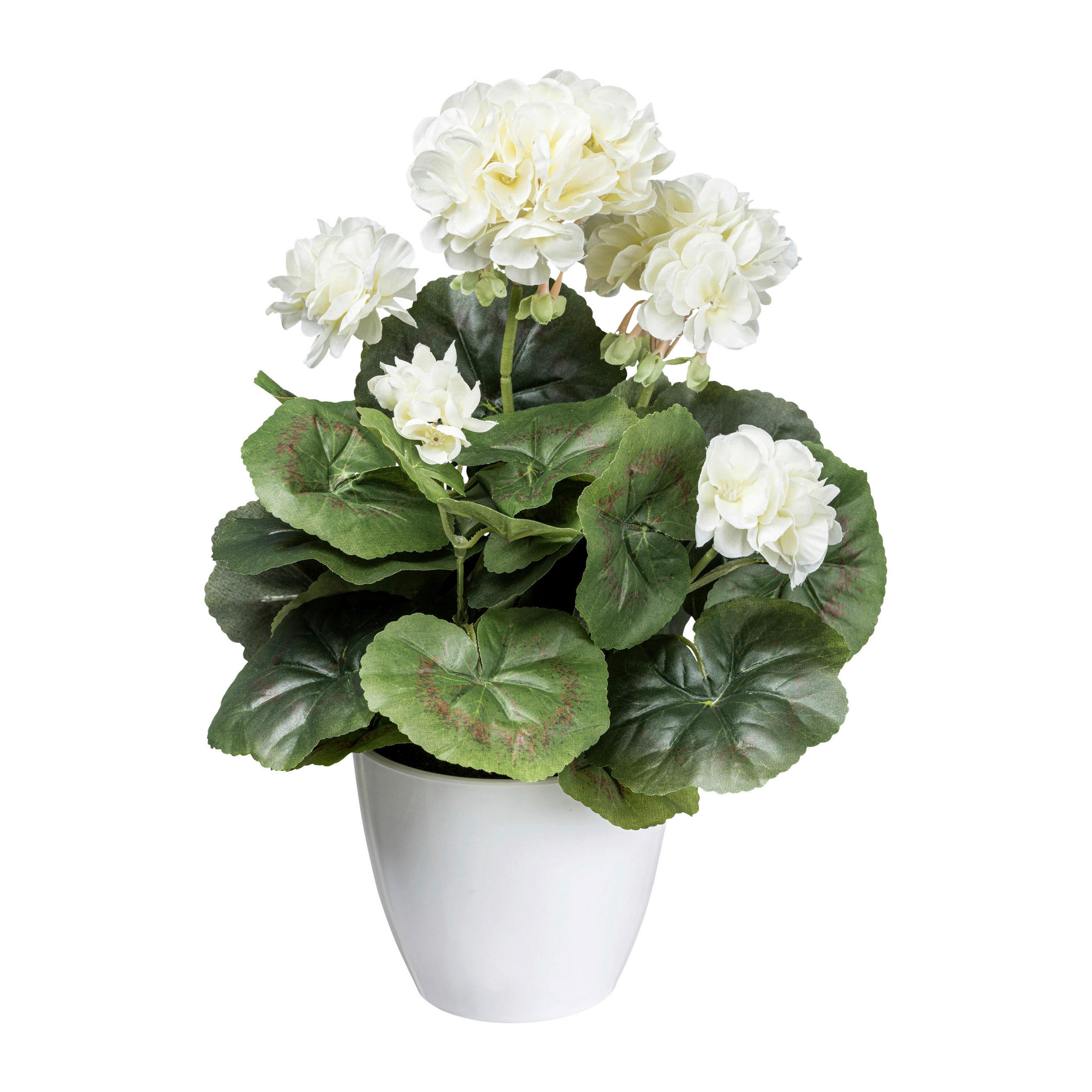 KUNSTPFLANZE Geranie 34 cm  - Creme/Weiß, Design, Kunststoff (34cm) - P & B